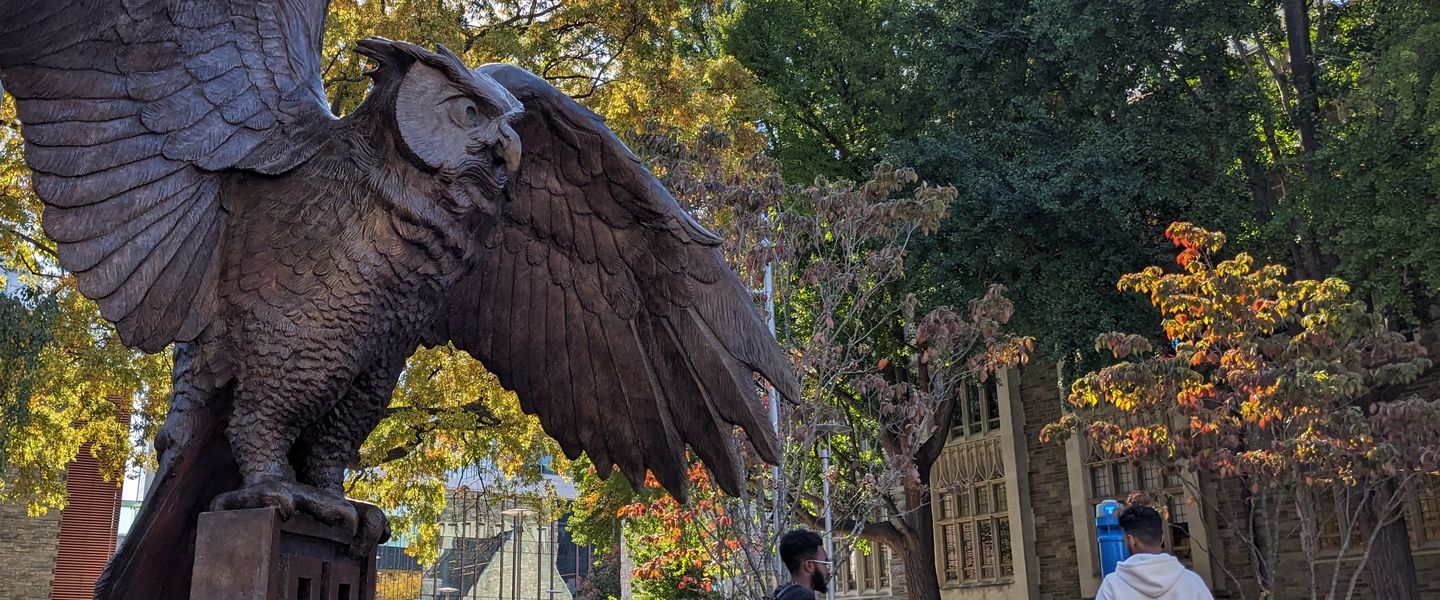 bronze owl sculpture on Temple's campus