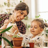 Parent and child water houseplant together