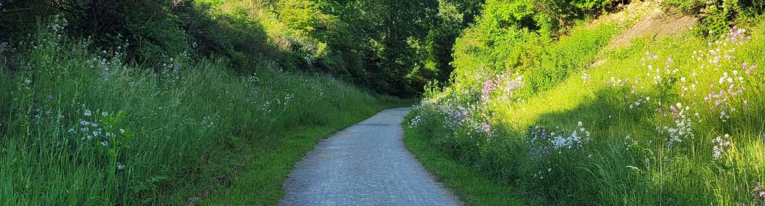 gravel lane through green grass, meadow flowers, and a rocky hillside
