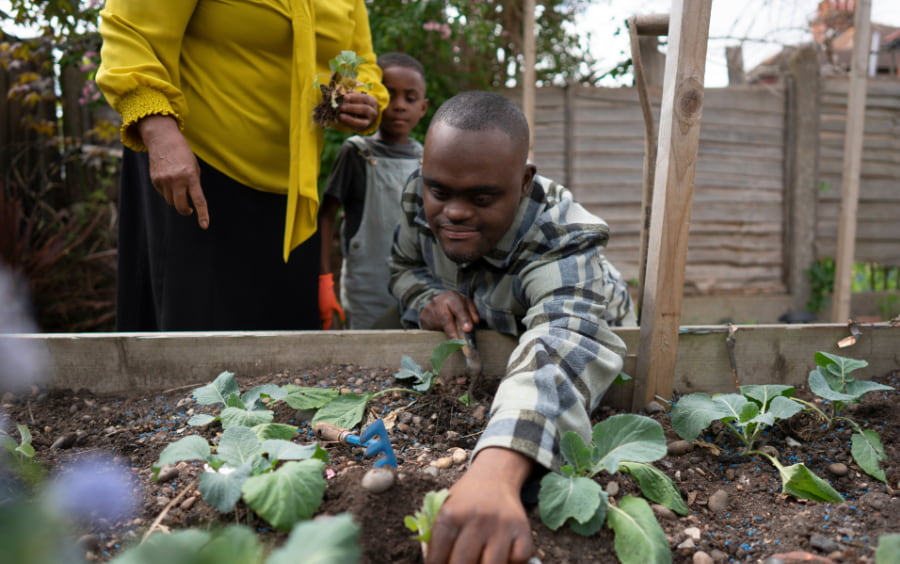 Young Black man plants a vegetable seedling in a raised garden bed as an elder holds the next seedling and a child looks on